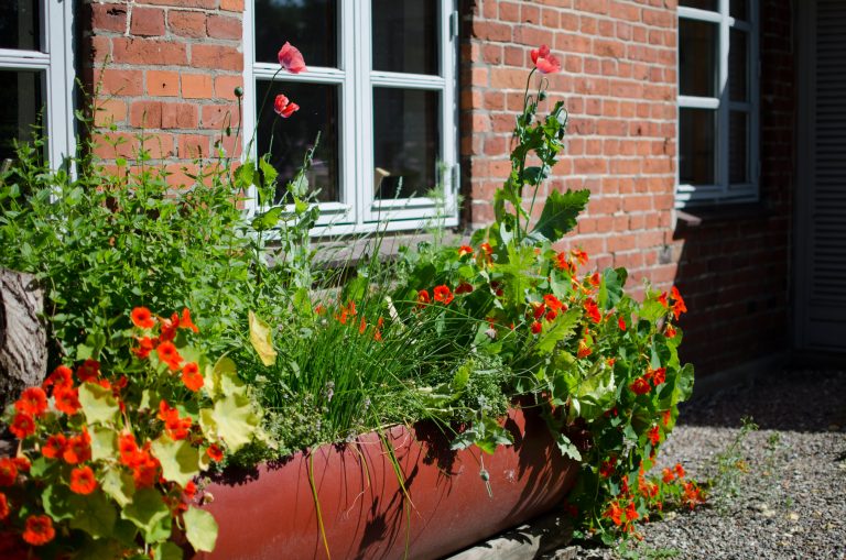 Moellenhof_website-003
